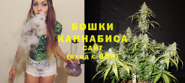 Альфа ПВП Мегион