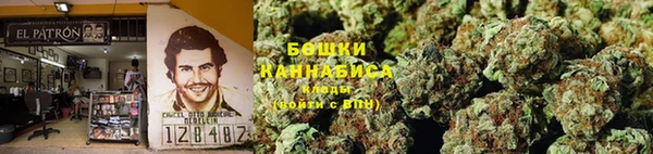 Альфа ПВП Мегион